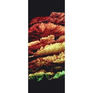 DO NOT BUY: Practical Fresh Bike